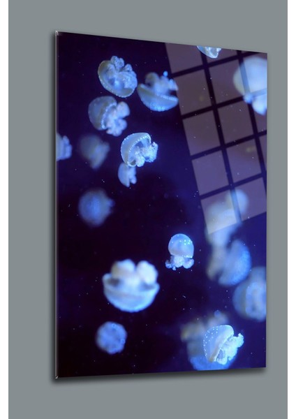 Denizanası Cam Tablo