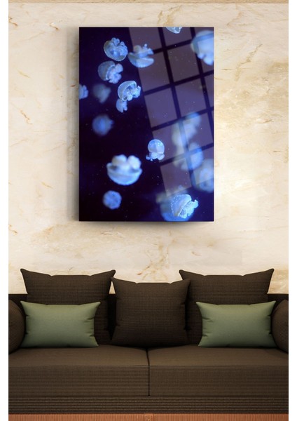 Denizanası Cam Tablo fiyatları