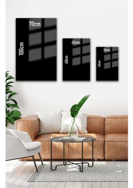 Sinek Kuşları Cam Tablo 02 modelleri