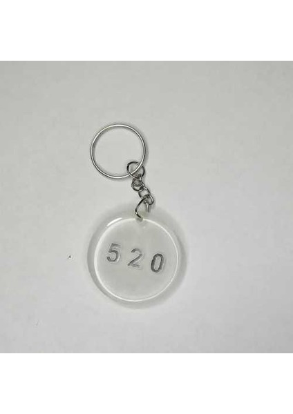 520 Para Sayı Sekansı Anahtarlık M3