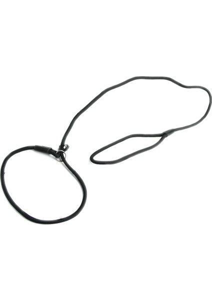 Naylon Halat Köpek Fısıldayan Stil Kayma Tren Tasma Kurşun Yaka Siyah (Yurt Dışından)