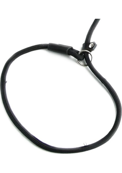 Naylon Halat Köpek Fısıldayan Stil Kayma Tren Tasma Kurşun Yaka Siyah (Yurt Dışından) fiyatları