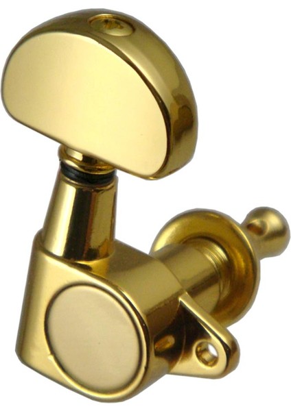 3R+3 Elektro Akordu Mandal Tuşları Kafası Altın (Yurt Dışından) modelleri