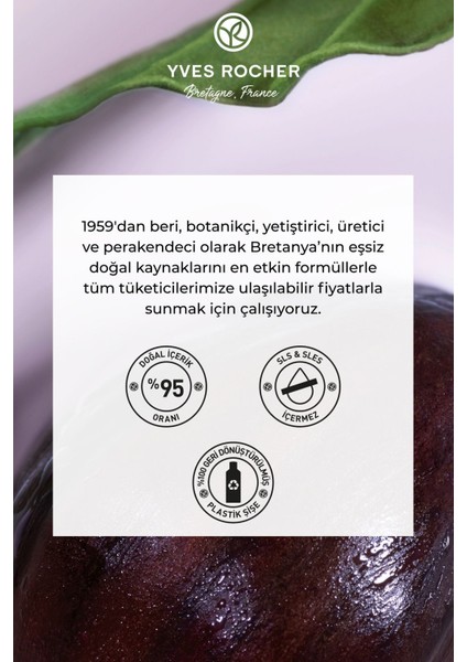 Normal/Kuru Saçlar İçin (Doucer) Besleyici Kolay Tarama Şampuanı - Sülfatsız & Tuzsuz & Vegan-300 ml