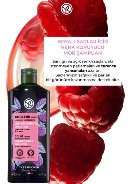 Boyalı Saçlar Için (Couleur) Turunculaşma Karşıtı Mor Şampuan - Sülfatsız & VEGAN-300 ml