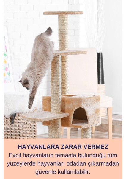 Hijyen Spreyi Pet 750ml Parfümsüz Kedi Koku Giderici Kumu Tuvaleti Mama Kabı