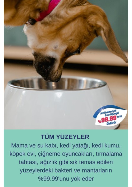 Hijyen Spreyi Pet 750ml Parfümsüz Kedi Koku Giderici Kumu Tuvaleti Mama Kabı