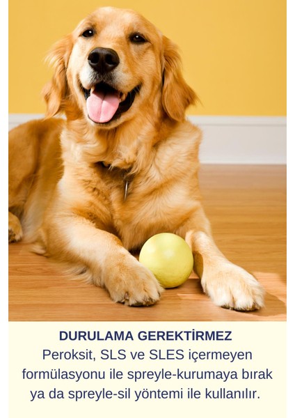 Hijyen Spreyi Pet 750ml Parfümsüz Kedi Koku Giderici Kumu Tuvaleti Mama Kabı
