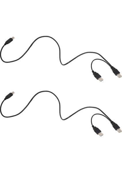 2x Çift USB 2.0 Erkek - Standart B Erkek Y Kablosu 80CM Yazıcı ve Tarayıcı ve Harici Sabit Disk Sürücüsü Için (Yurt Dışından)
