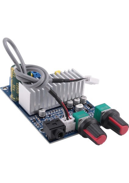 TPA3116 Subwoofer Amplifier Board 100W Bass Output DC12-24V Digital Small Power Amplifiers Video Audio Accessories (Yurt Dışından)