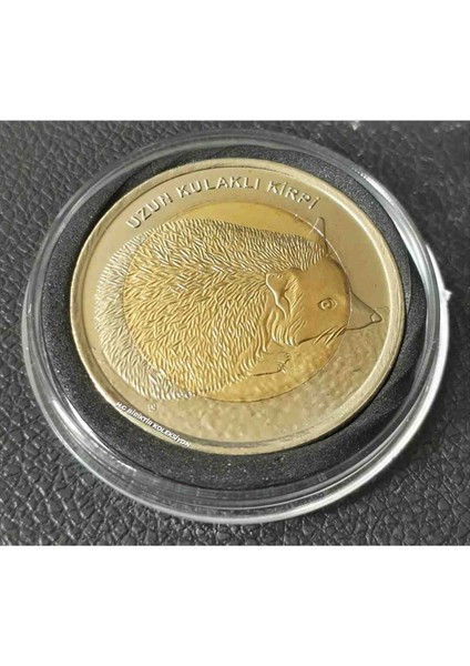 Bimetal Hayvanlar Uzun Kulaklı Kirpi Çil Hatıra Para Kapsül Içinde Görseldeki Ürün