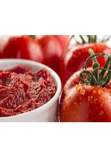 Akdeniz Tipi Domates Salçası 700 Gram Doğal Salça Organik Salça fiyatları
