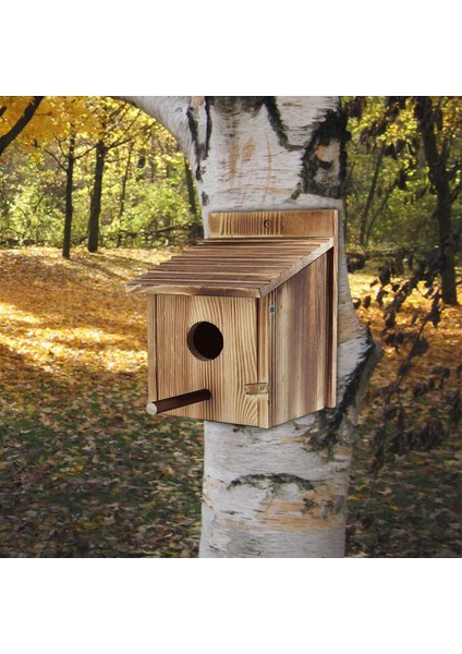 Kuş Evi Ahşap Kuş Evi Ahşap Dış Küçük Için (Yurt Dışından) fiyatları