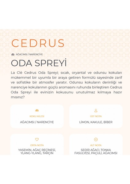 Cedrus Sprey Oda Kokusu