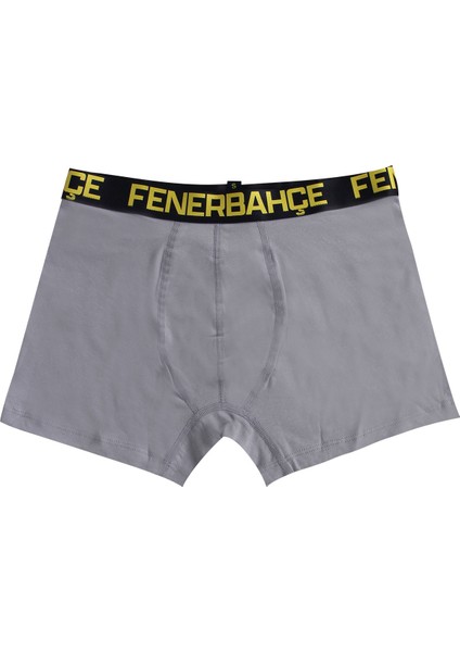 Erkek Fenerbahçe Boxer