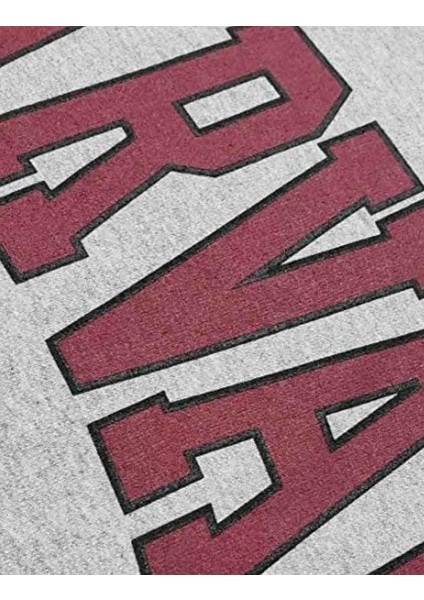 Harvard Yazılı Sweatshirt fiyatları
