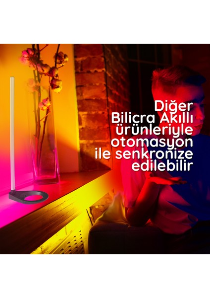 Locate Akıllı Dekoratif Lambader Masaüstü Tipi