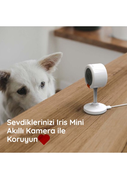 Iris Mini 3MP(2275X1280 Px) Akıllı Kamera