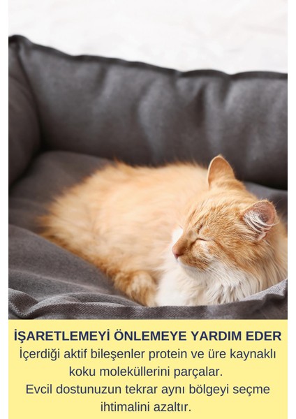 Kedi Göz Temizleme Solüsyonu Kedi Göz Kedi Kumu Kokusu Koku Giderici Pet 750 ml indirimleri
