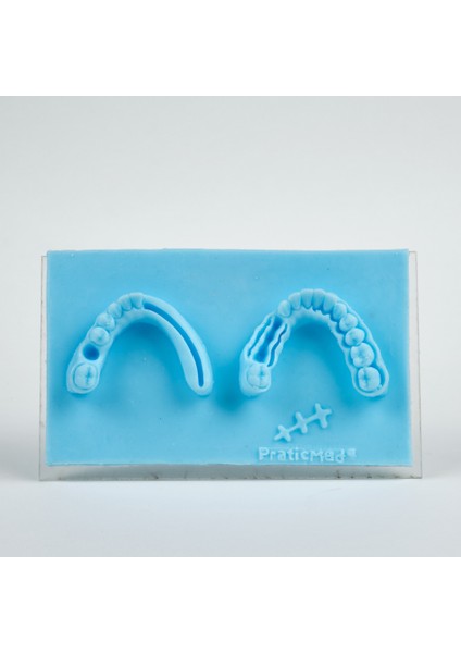 PraticMed Diş Hekimliği Kampanya Tipi Dikiş, Flep Kapama Eğitim Seti - Praticmed fiyatları