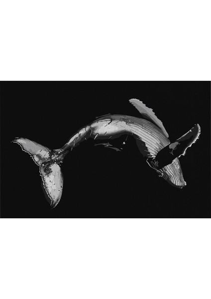 Mars 49 Modern Stil Siyah Balina Halı ve Kilim Salon Halısı Yıkanabilen Dekoratif Halı fırsatları