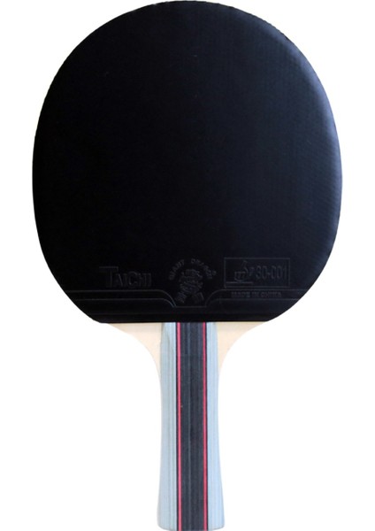 Impression 3 Yıldız Masa Tenis Raketi modelleri