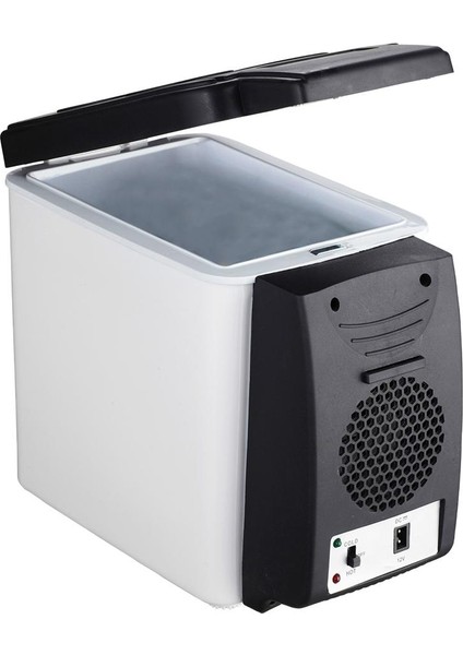 6l Taşınabilir 12V Mini Isıtıcı Elektrikli Buzdolabı Kutusu (Yurt Dışından)