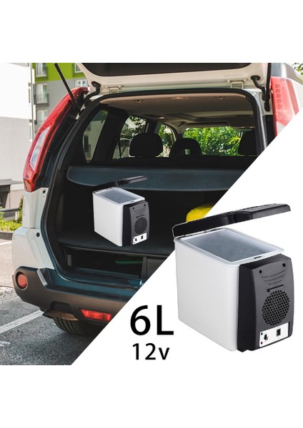 6l Taşınabilir 12V Mini Isıtıcı Elektrikli Buzdolabı Kutusu (Yurt Dışından)