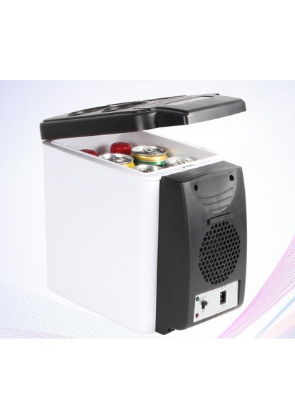6l Taşınabilir 12V Mini Isıtıcı Elektrikli Buzdolabı Kutusu (Yurt Dışından)