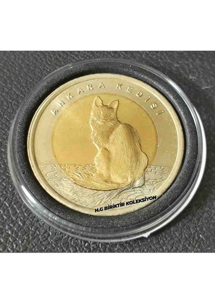 Bimetal Ankara Kedisi Çil Hatıra Para 2015 Yılı Kapsül Içinde Görseldeki Ürün
