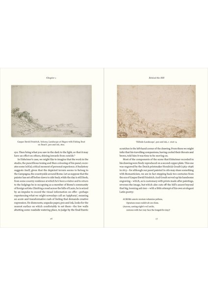Natural Light / The Art Of Adam Elsheimer And The Dawn Of Modern Science - Julian Bell
