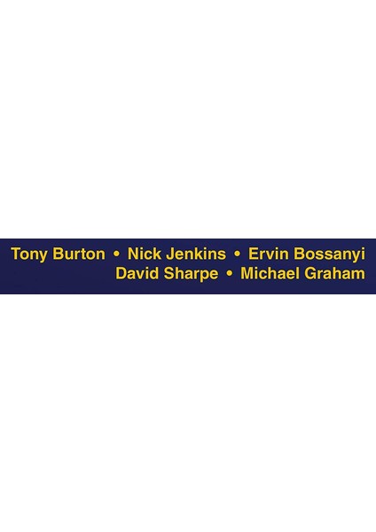 Wind Energy Handbook - Tony L. Burton