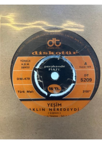 Yeşim – Aklın Neredeydi 1975 Baskı 45'lik (Plak)