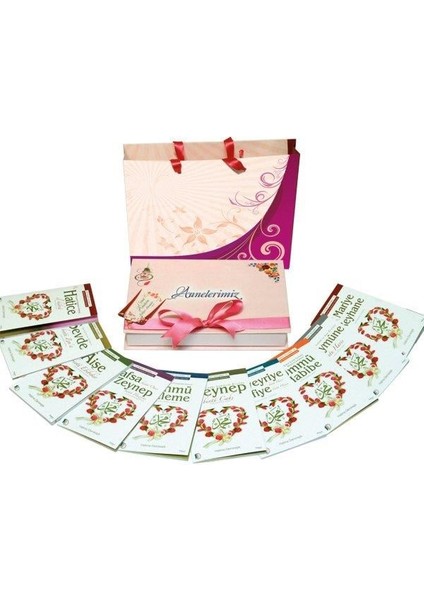 Müminlerin Anneleri (10 Kitap - Kutulu) - Halime Demireşik fiyatları