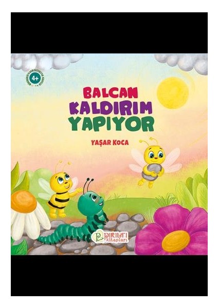 Balcan Kaldırım Yapıyor - 9 - Yaşar Koca fiyatları