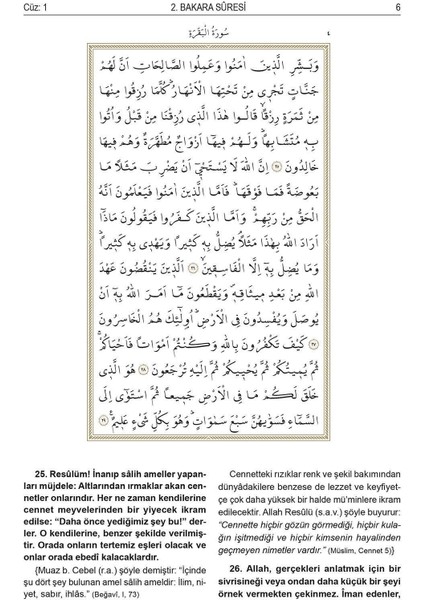 Kur'an-ı Kerim'in Açıklamalı Türkçe Meali - Ömer Çelik fırsatları