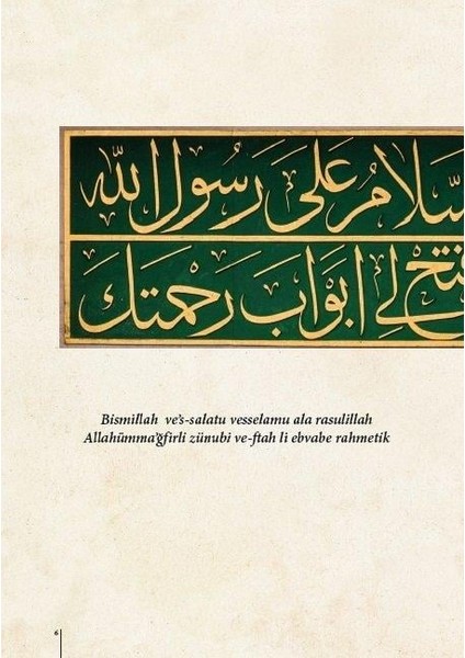 Altın Silsile (Fotoğraflı) - Prof. Dr. Necdet Tosun modelleri