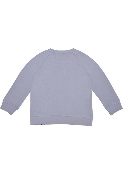 Erkek Çocuk Sweatshirt - Açık Gri