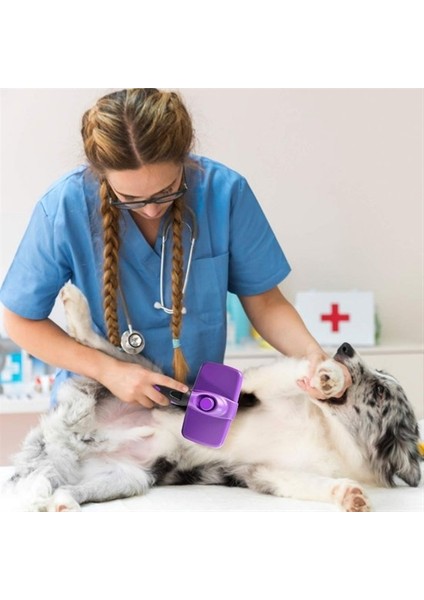 Otomatik Temizlenebilen Tuşlu Pratik Kedi Köpek Tüy Toplama Fırçası (4886)