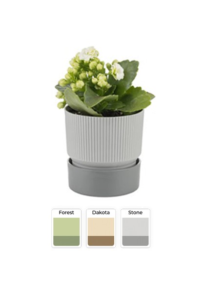 IXORA15 Polyester Saksı / Floralia Plant