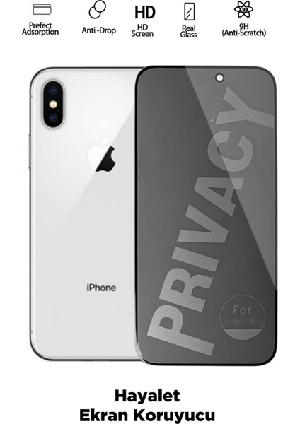 Iphone x Uyumlu Tam Kapatan Hayalet Ekran Koruyucu Privacy Tamperli Kırılmaz Cam