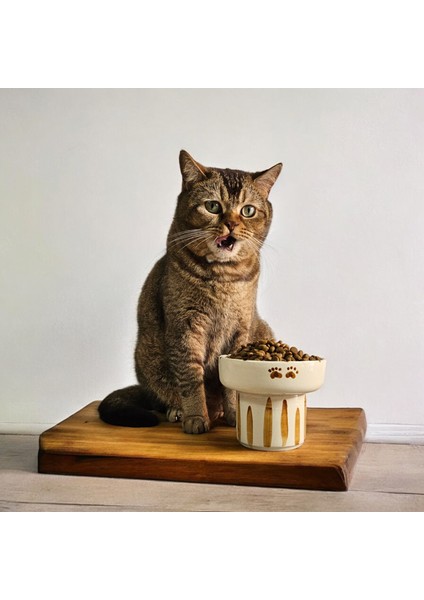 Seramik Mama Su kabı, El Yapımı Yüksek Tasarım, Kedi ve Yavru Köpek Mama Kasesi, Dekoratif Mama Kasesi, Antibakteriyel, Hediyelik Mama kabı