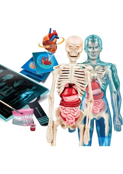 64474 Bilim ve Oyun - Süper Anatomi +8 Yaş fiyatları