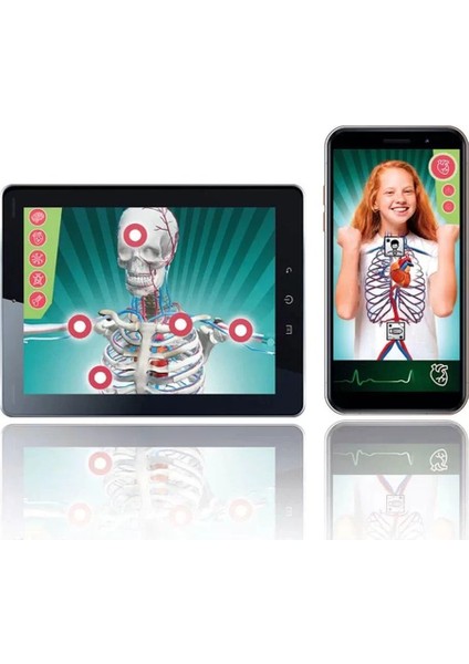 64474 Bilim ve Oyun - Süper Anatomi +8 Yaş indirimleri