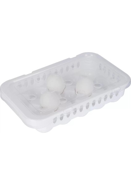 Hijyenik Yumurta Saklama Kabı 15 Bölmeli Kapaklı fiyatları