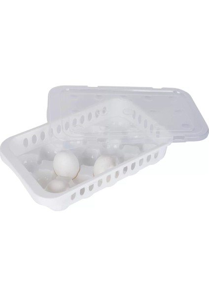 Hijyenik Yumurta Saklama Kabı 15 Bölmeli Kapaklı modelleri