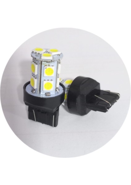 T20 DİPSİZ LED AMPÜL 12V 13 LED BEYAZ