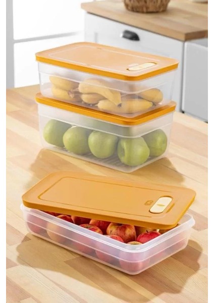 Tupper Model - Vakumlu - Mikrodalga Buzluk Saklama Kabı 2,5lt fırsatları