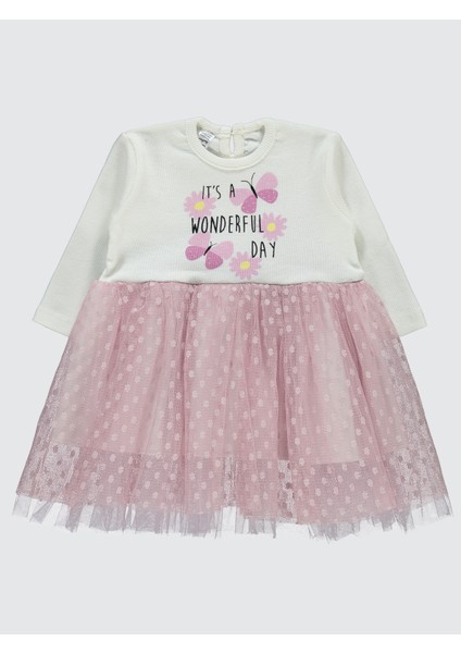 Welkin Kız Bebek Elbise 6-18 Ay Pudra