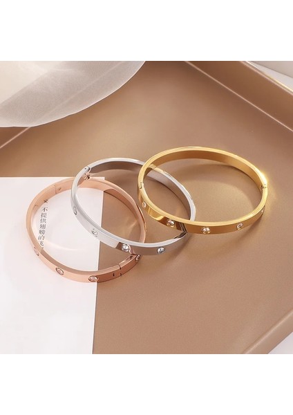Gül Altın 8mm Kadın Erkek Takı Hediyeler Için Klasik Altın Bilezikler Paslanmaz Çelik Basit Kübik Zirkonya Bilezik Bileklik Fashio (Yurt Dışından) modelleri
